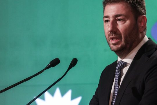 Τι θα πει στην Πρόεδρο ο Ανδρουλάκης