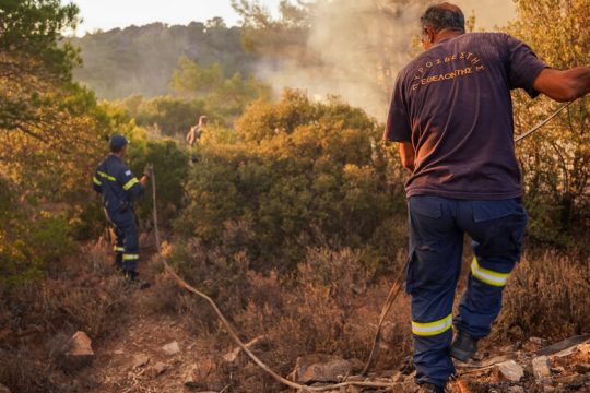 Πυρκαγιά σε δασική έκταση στον Μαραθώνα Αττικής