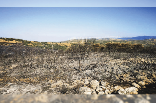Ανεμογεννήτριες φυτρώνουν στα καμένα