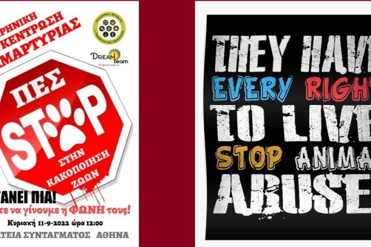 Συγκέντρωση ενάντια στην κακοποίηση των ζώων
