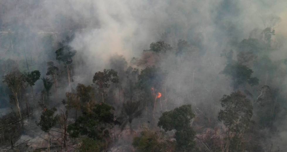 Σε υψηλό πέντε ετών οι πυρκαγιές στον Αμαζόνιο τον Αύγουστο