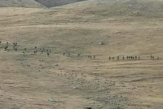 Πρωτοβουλίες από Πούτιν και Μακρόν για αποκλιμάκωση στο Ναγκόρνο Καραμπάχ