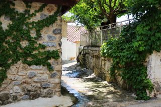 Της Ευδοκίας…
