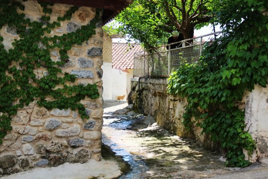Της Ευδοκίας…