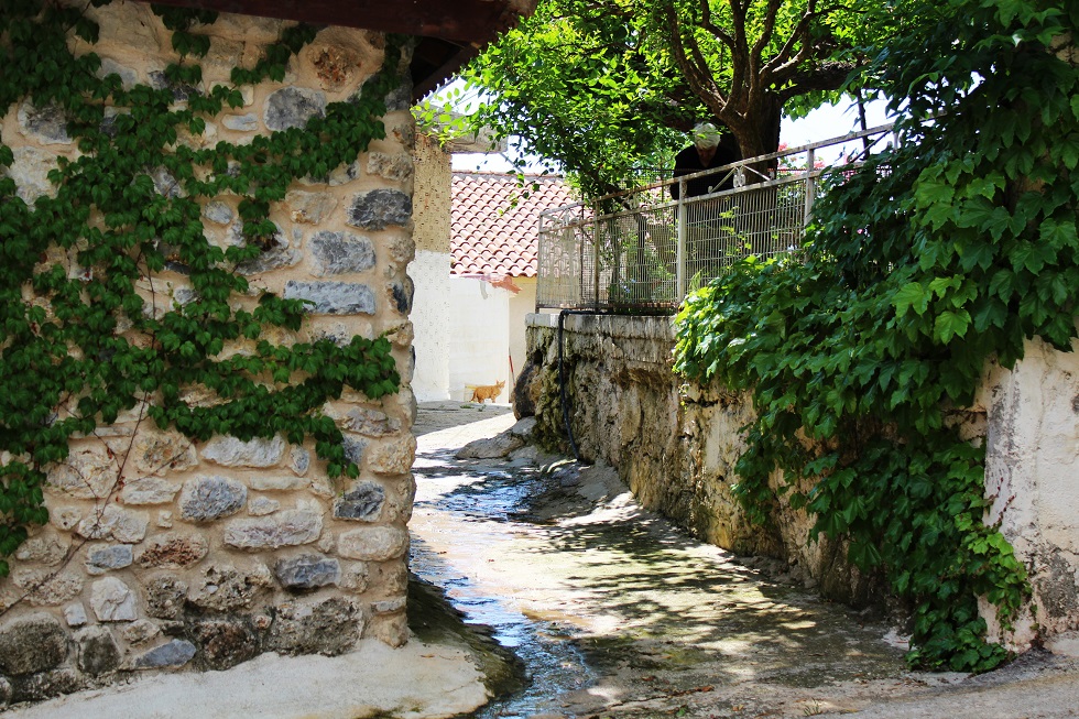 Της Ευδοκίας…