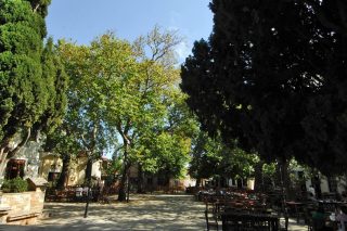 Δεν είναι μόνο  ο τουρισμός