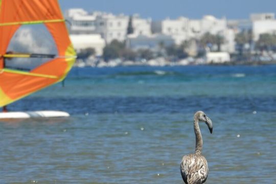 Τσαλαπατούν βιότοπο με τη βούλα του δήμου