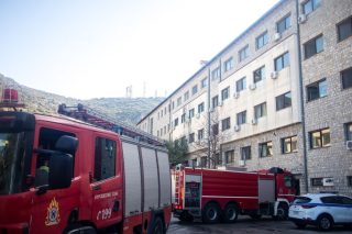 Λεφτόδεντρα υπάρχουν, αλλά δεν φύονται στο Ασβεστοχώρι (όπου βρίσκεται το Νοσοκομείο «Παπανικολάου»)
