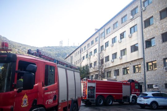 Λεφτόδεντρα υπάρχουν, αλλά δεν φύονται στο Ασβεστοχώρι (όπου βρίσκεται το Νοσοκομείο «Παπανικολάου»)