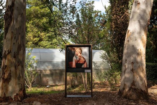 Ενα ποίημα, 4.000 φυτά, μία περιπατητική έκθεση
