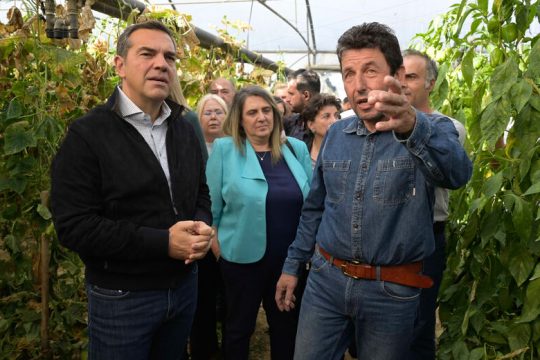 «Ταΐζουμε τα ζώα μας τόσο ώστε να μην ψοφήσουν»