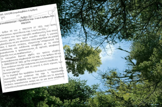 Οδοστρωτήρας για δάση και ελεύθερους χώρους