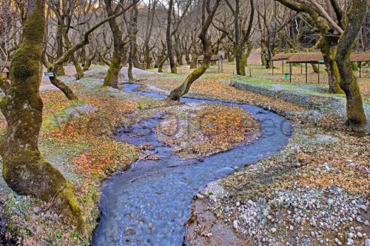 Από το Λεβίδι στα Καλάβρυτα