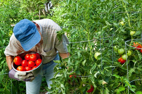 Αγρότες και κτηνοτρόφοι σε απόγνωση