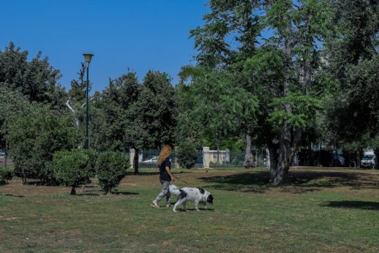 Διαμαρτυρία για την προστασία της Ακαδημίας Πλάτωνος