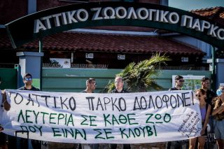 Ο Άδωνις Γεωργιάδης νομιμοποιεί το Αττικό Ζωολογικό Πάρκο