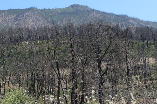 Επιστολή της ΕΛΕΤΑΕΝ για ρεπορτάζ της «Εφ.Συν.» και η απάντηση του συντάκτη της μελέτης