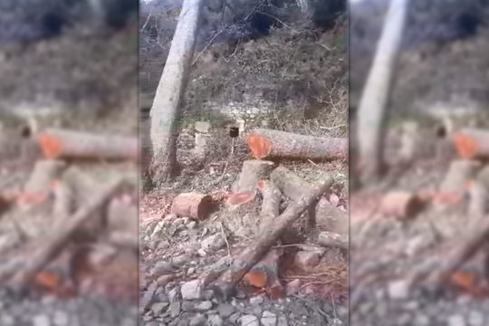 Η μεγάλη καταστροφή της Άγνου