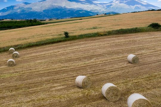 Μέτρα για να προλάβουμε την καταστροφή στην κτηνοτροφία