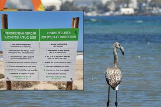 Καταπατούν τη Λαγκούνα, απειλούν τους επικριτές τους
