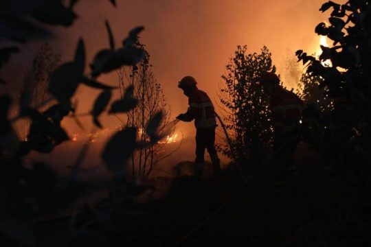 Έκταση μεγαλύτερη από εκείνη του Βελγίου κάηκε την τελευταία 5ετία στην Ε.Ε.
