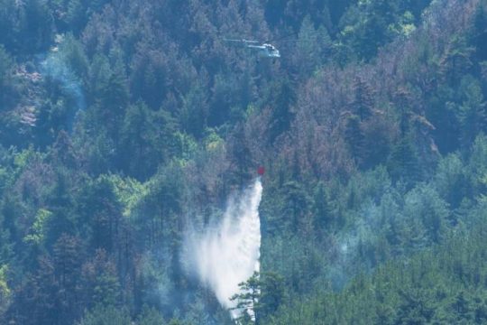 Πυρκαγιά σε δασική έκταση στη Ροδόπη