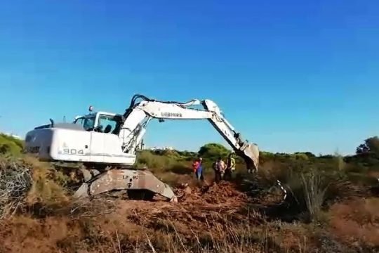 Κρανίου τόπο άφησαν τις Μαρίκες στη Ραφήνα