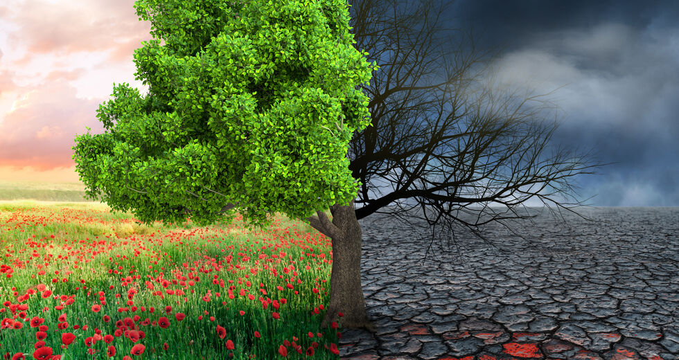 Παγκόσμιος απολογισμός COP27: οι στόχοι για το κλίμα απέχουν πολύ από το να είναι επαρκείς!