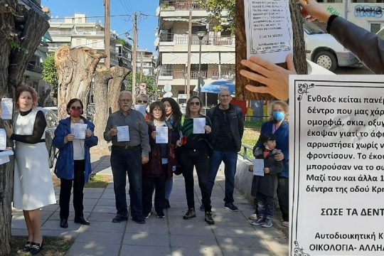 Ραψωδία του αλυσοπρίονου στη Θεσσαλονίκη