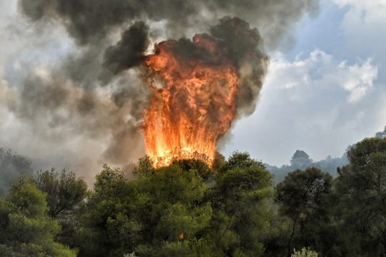 Περιβαλλοντική καταστροφή στο Παπίκιο όρος, 15 ημέρες μαίνεται δασική πυρκαγιά