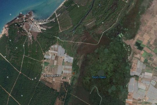 Καταπατούν 803 στρέμματα αναδασωτέας έκτασης
