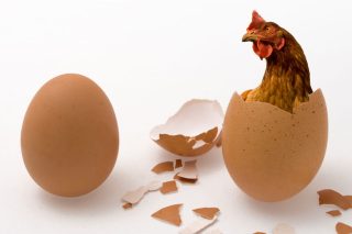 Το αυγό, η κότα και οι κεντρικοί τραπεζίτες