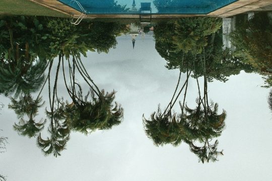 «Ο κήπος» του Μανώλη Μπαμπούση στην Καλών Τεχνών