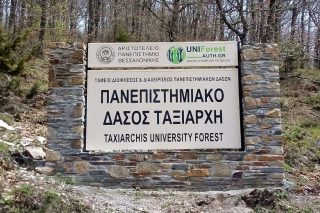 Επιστολή προς τον πρωθυπουργό για τα δασικά ακίνητα του ΑΠΘ