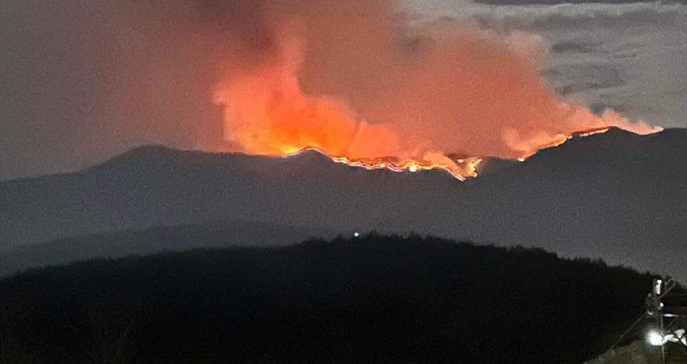Στη Βουλή από τον Κρ. Αρσένη η μεγάλη δασική πυρκαγιά στο Παπίκιο Όρος Ροδόπης