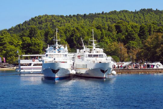 50 ημερόπλοια και 12 πορθμεία αναζητούν νηογνώμονα