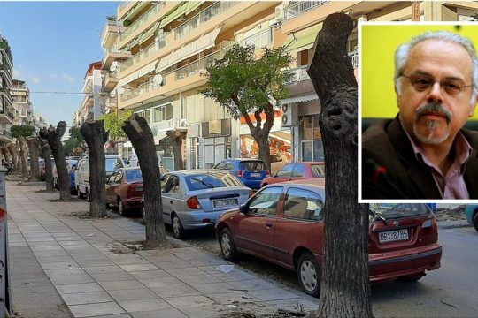 Κλαδεύουν και… ανύπαρκτα δέντρα