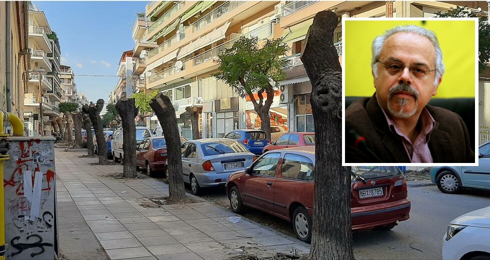 Κλαδεύουν και… ανύπαρκτα δέντρα