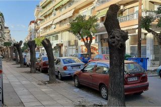 Οι δεντροκτόνοι με τα πριόνια