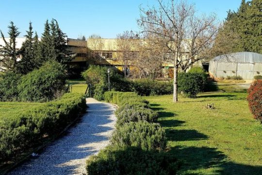 Καθημερινός αγώνας δρόμου γονέων για ένα… λεωφορείο