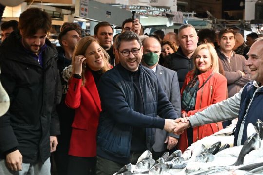 Σοσιαλδημοκρατία α λα ελληνικά