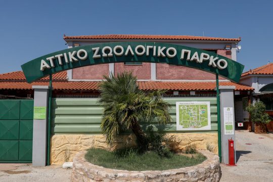 Εξώδικο από το Αττικό Ζωολογικό Πάρκο