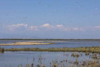 Δια την των χρημάτων κτήσιν πάντες οι πόλεμοι γίγνονται (Πλάτων)