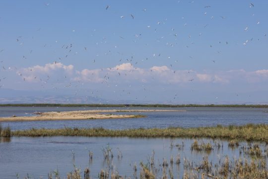 Δια την των χρημάτων κτήσιν πάντες οι πόλεμοι γίγνονται (Πλάτων)