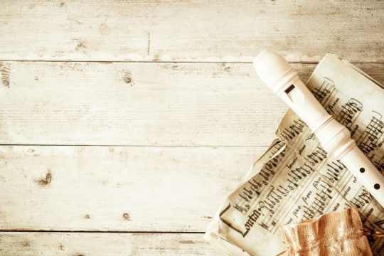 Ο μικρός «μουσικός»
