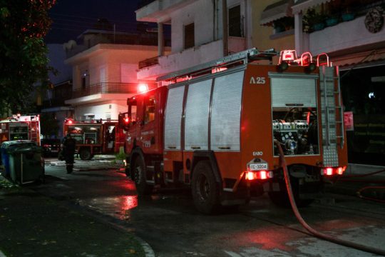 Μεγάλη φωτιά κατέστρεψε pet shop στον Κορυδαλλό