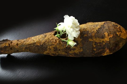 Στοχασμοί και ερωτήματα στην Παγκόσμια Ημέρα Ουδετερότητας