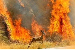 Σχέδιο δράσης για το περιβάλλον και το κλίμα