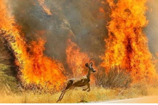 Σχέδιο δράσης για το περιβάλλον και το κλίμα