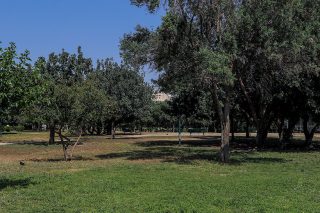 Επιχειρήματα κατά (αρχιτεκτονική) περίσταση